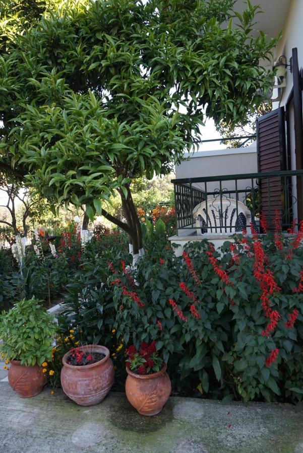 Villa Nikolaou Parga Dış mekan fotoğraf